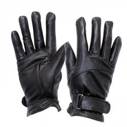 Gants d'équitation Winter Performance