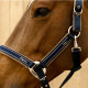 Licol Elegance Lamicell