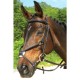 Bridon cuir Cardiff noir Cheval