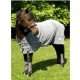 Chemise Polaire Performance