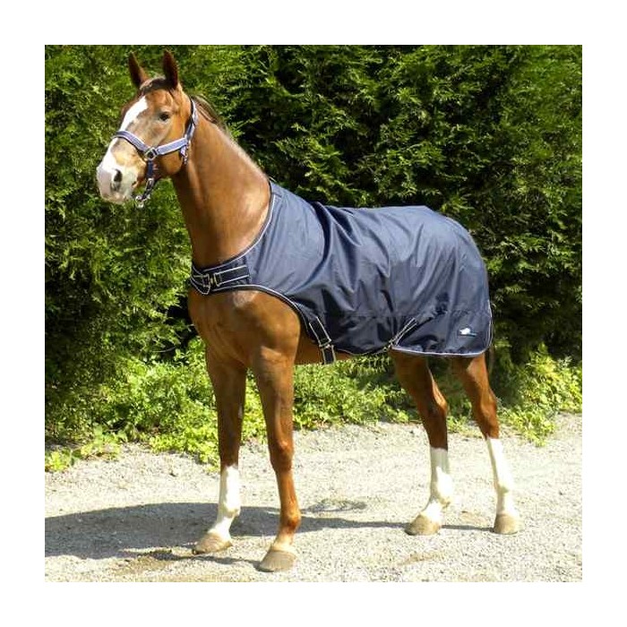 Chemise marcheur cheval sale