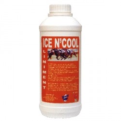 Ice N'Cool Liniment Rekor - rafraichissant