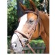 Bridon Roma Brio de Treadstone