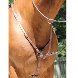 Collier de chasse Roma Brio Treadstone