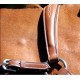 Collier de chasse Roma Brio Treadstone