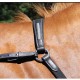 Collier de chasse Tempio Brio Treadstone
