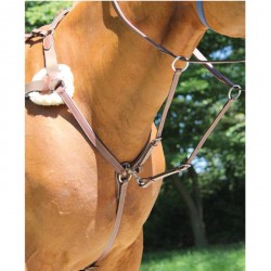 Collier de chasse 5 points Brio Treadstone