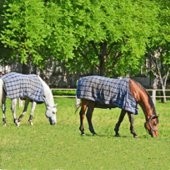 Couvertures cheval Couvertures cheval